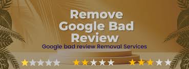 Remove Negative Google Review