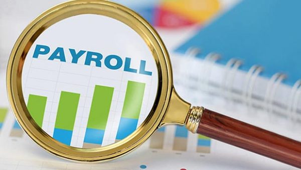 Payroll Management Software