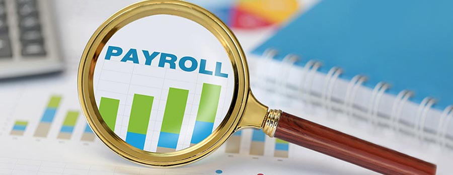 Payroll Management Software