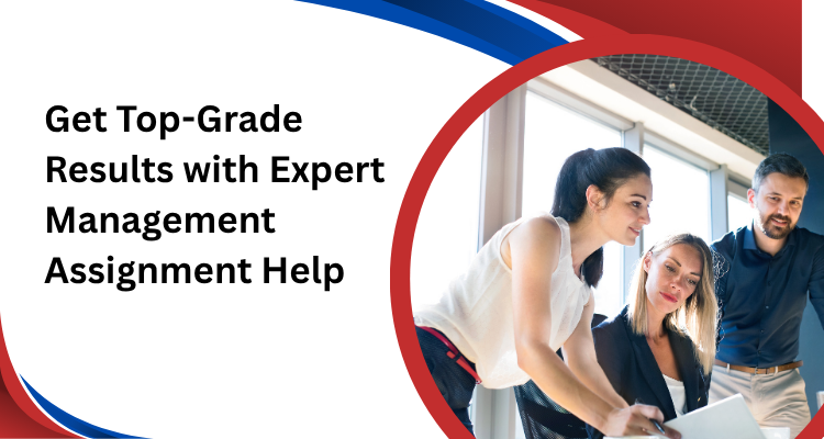 assignment help