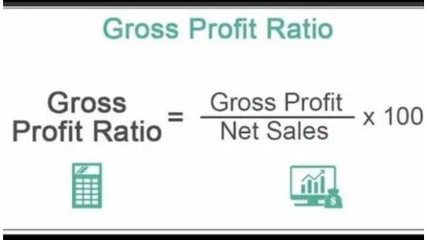 net profit margin formula
