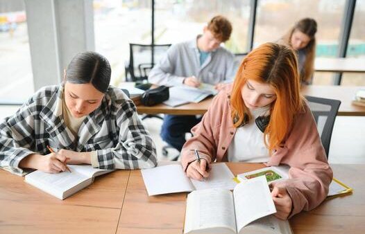 best book review writing service