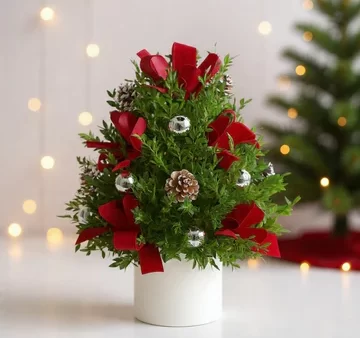 red holiday flower