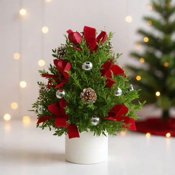 red holiday flower